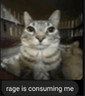 FCGuy