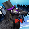 The Gentle Crow
